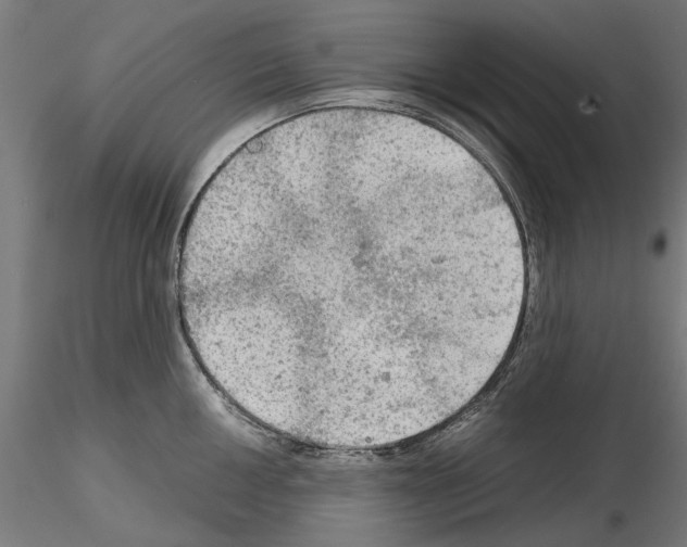 X0000115191050200912091106