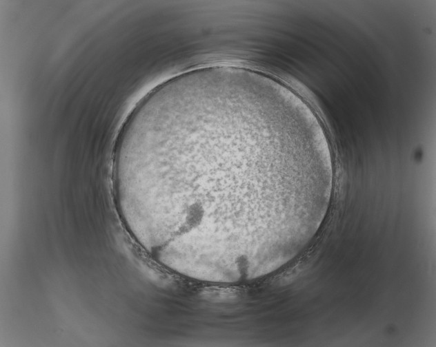 X0000115191051200912091106