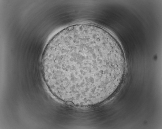 X0000115191053200912091106