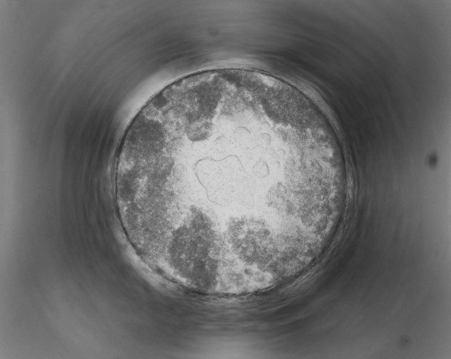 X0000115191054200912091106