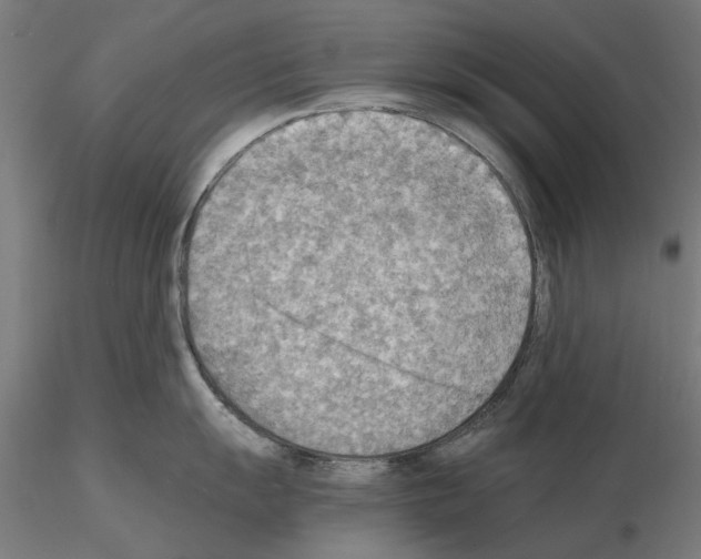 X0000115191055200912091106