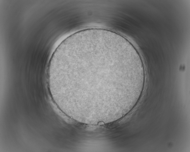 X0000115191056200912091106