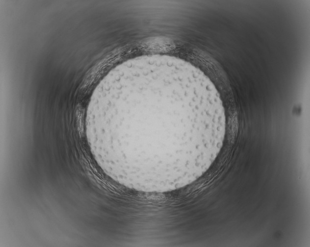 X0000115191058200912091105