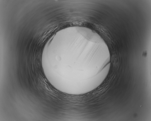 X0000115191060200912091105