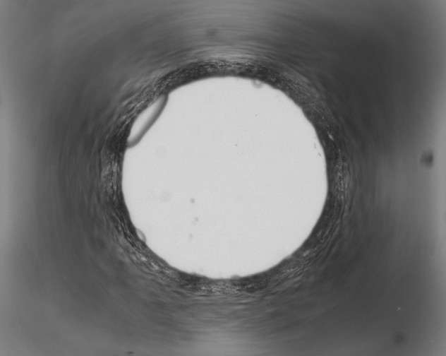 X0000115191061200912091105