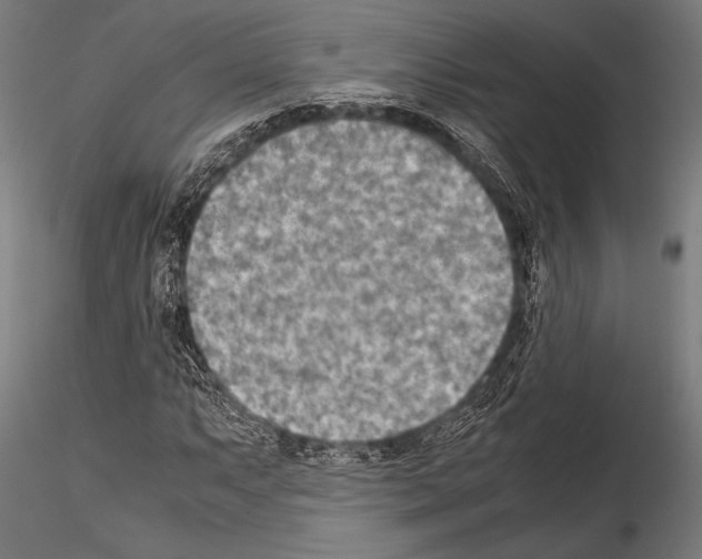 X0000115191063200912091105