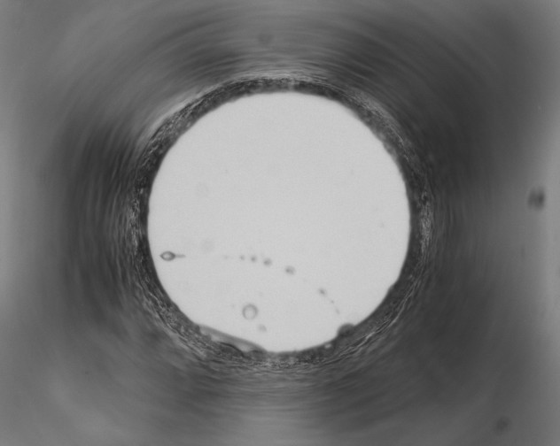 X0000115191064200912091105