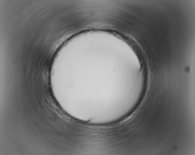 X0000115191065200912091105