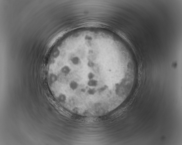 X0000115191067200912091105