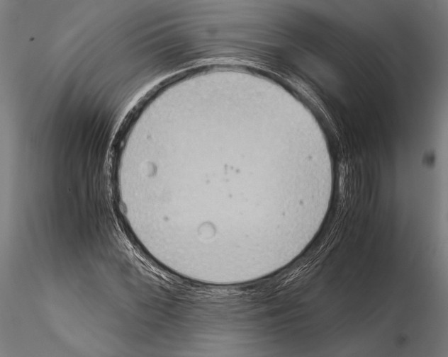 X0000115191068200912091105