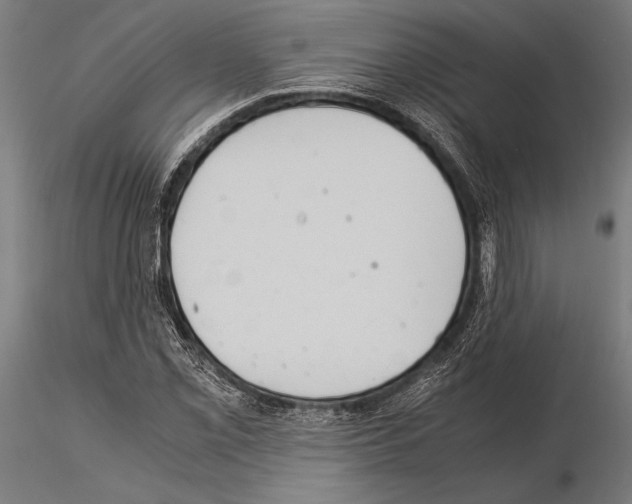 X0000115191069200912091105