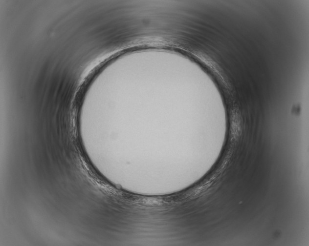 X0000115191070200912091105