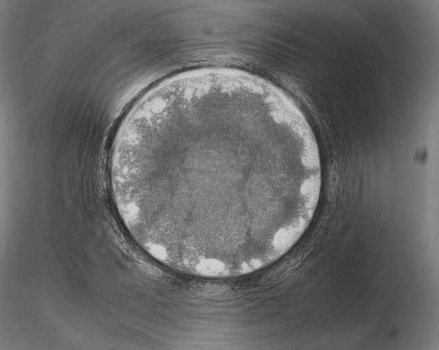 X0000115191071200912091105