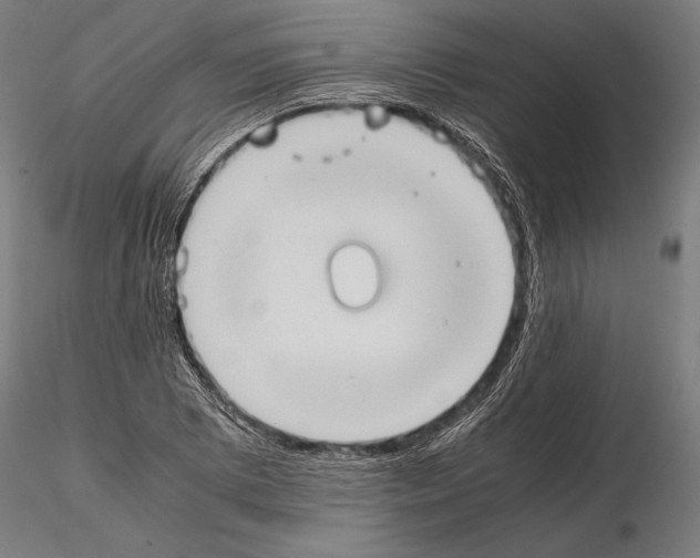 X0000115191073200912091105