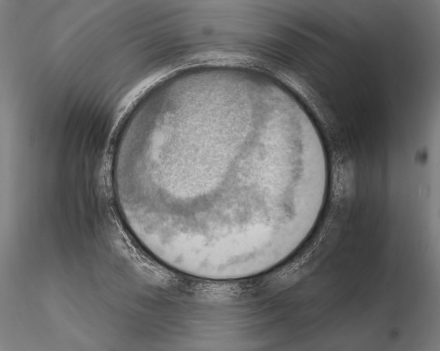 X0000115191074200912091105