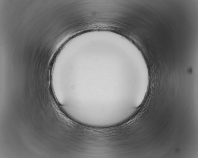 X0000115191075200912091105