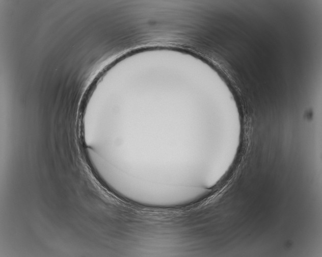 X0000115191077200912091105