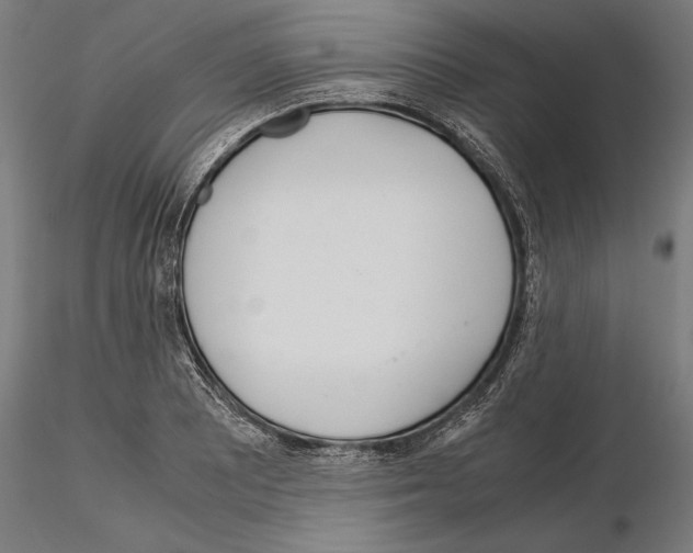 X0000115191081200912091105