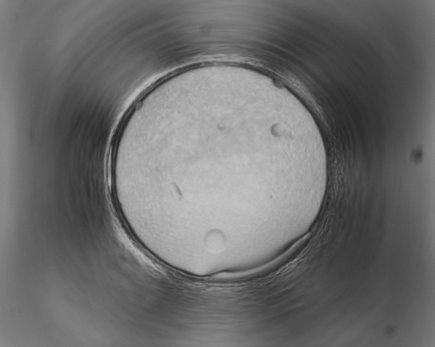 X0000115191084200912091105