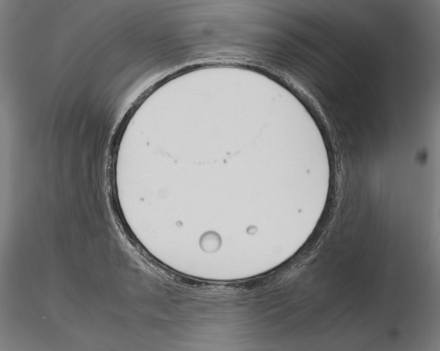 X0000115191085200912091105