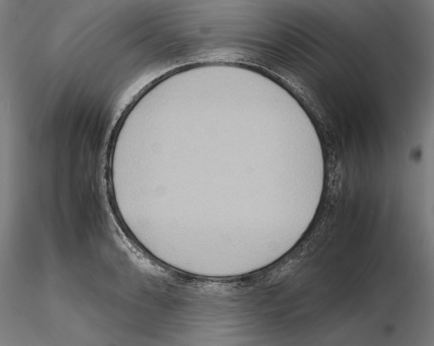 X0000115191086200912091105