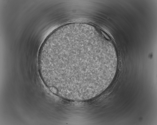 X0000115191087200912091105