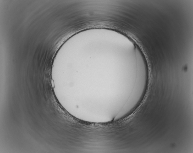 X0000115191089200912091105