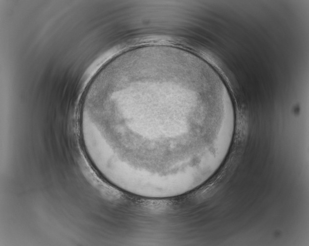 X0000115191090200912091105