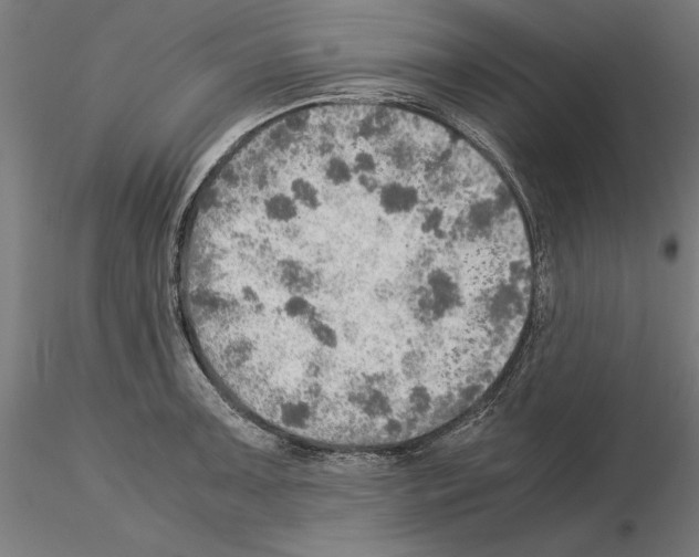 X0000115191091200912091105