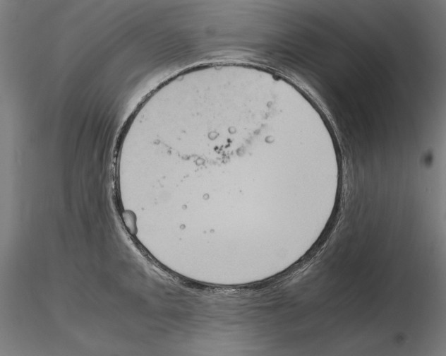 X0000115191093200912091105