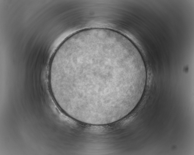 X0000115191094200912091105