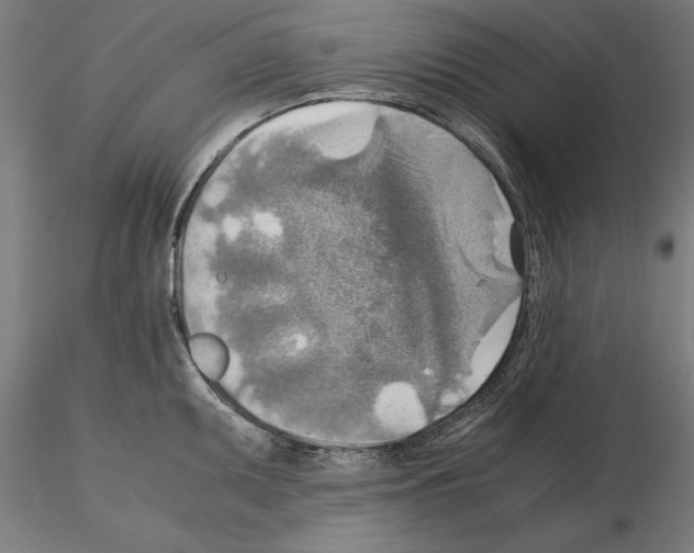 X0000115191095200912091105