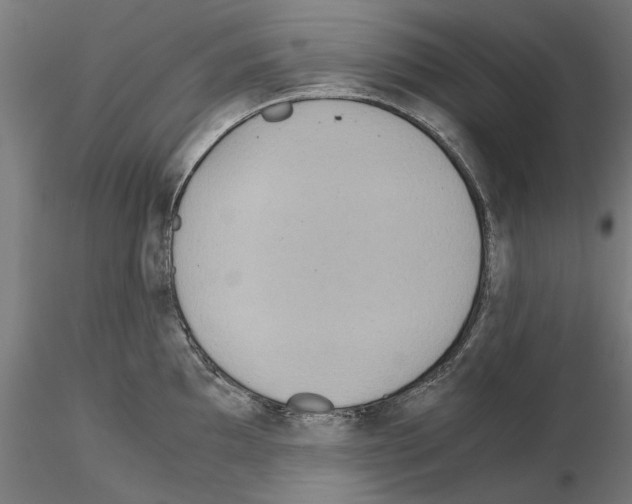 X0000115191097200912091105