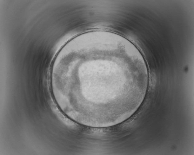 X0000115191098200912091105