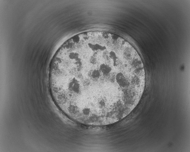 X0000115191099200912091105