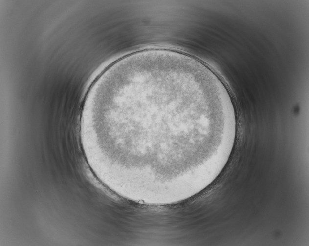 X0000115191100200912091104