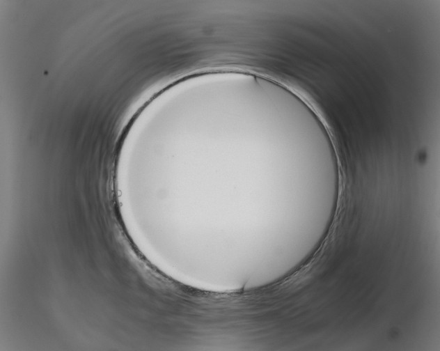 X0000115191101200912091104