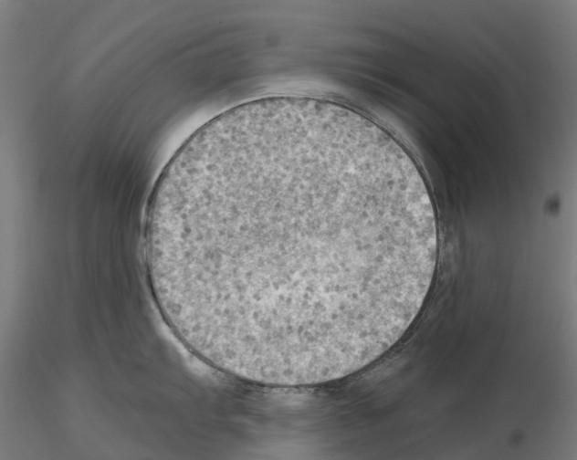 X0000115191103200912091104