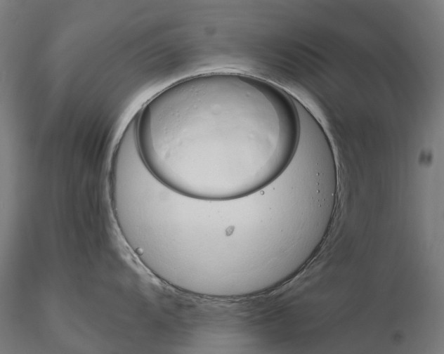 X0000115191104200912091104