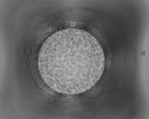 X0000115191105200912091104