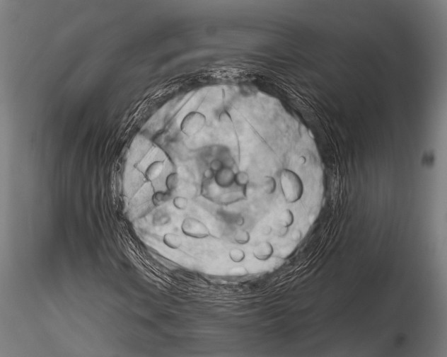 X0000115191106200912091104