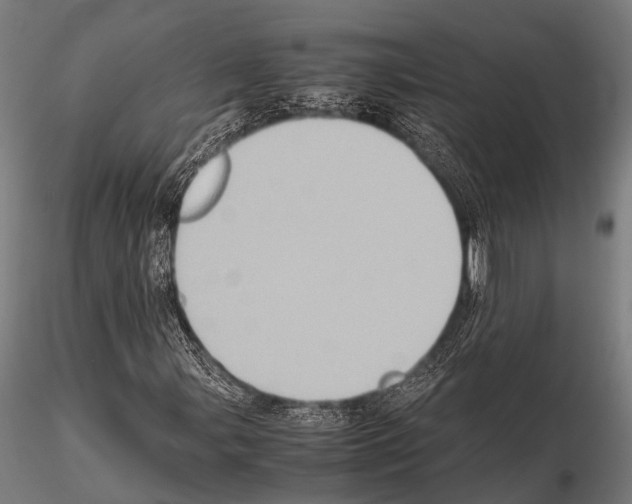 X0000115191107200912091104