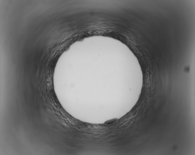 X0000115191109200912091104