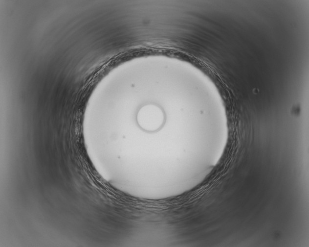 X0000115191110200912091104