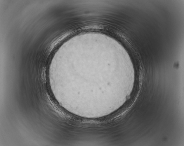 X0000115191113200912091104