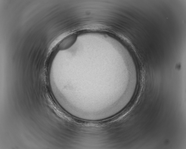 X0000115191114200912091104