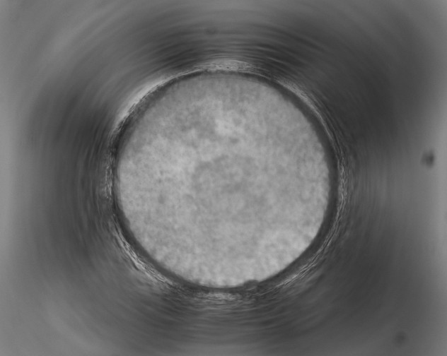 X0000115191115200912091104