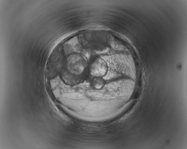 X0000115191125200912091104