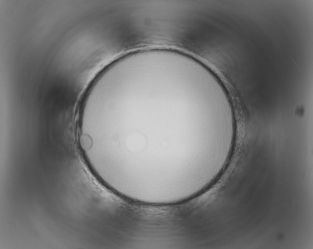 X0000115191126200912091104