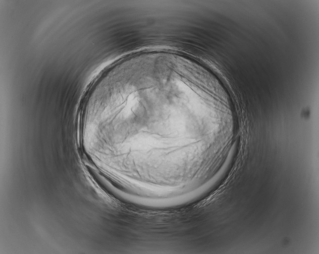 X0000115191127200912091104